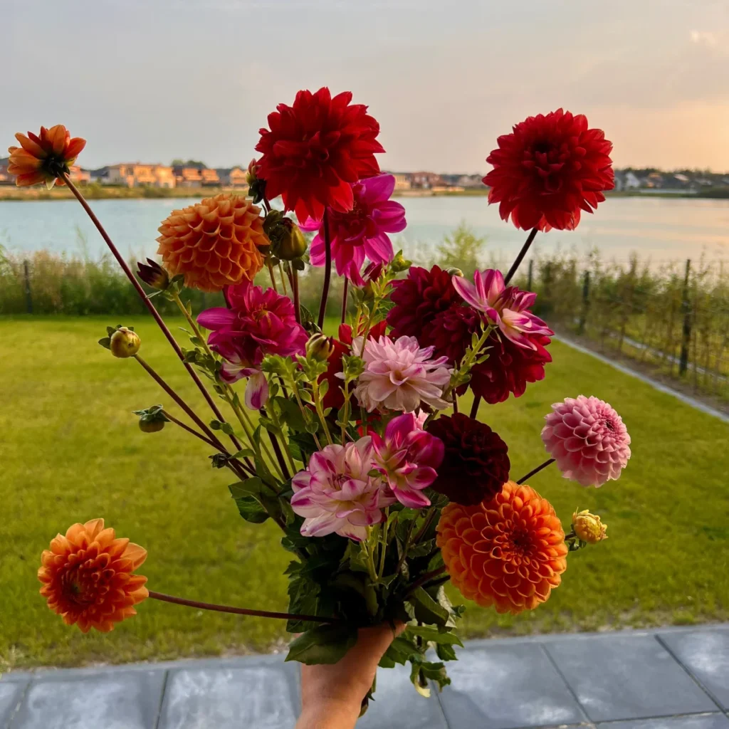 schnittblumen am see