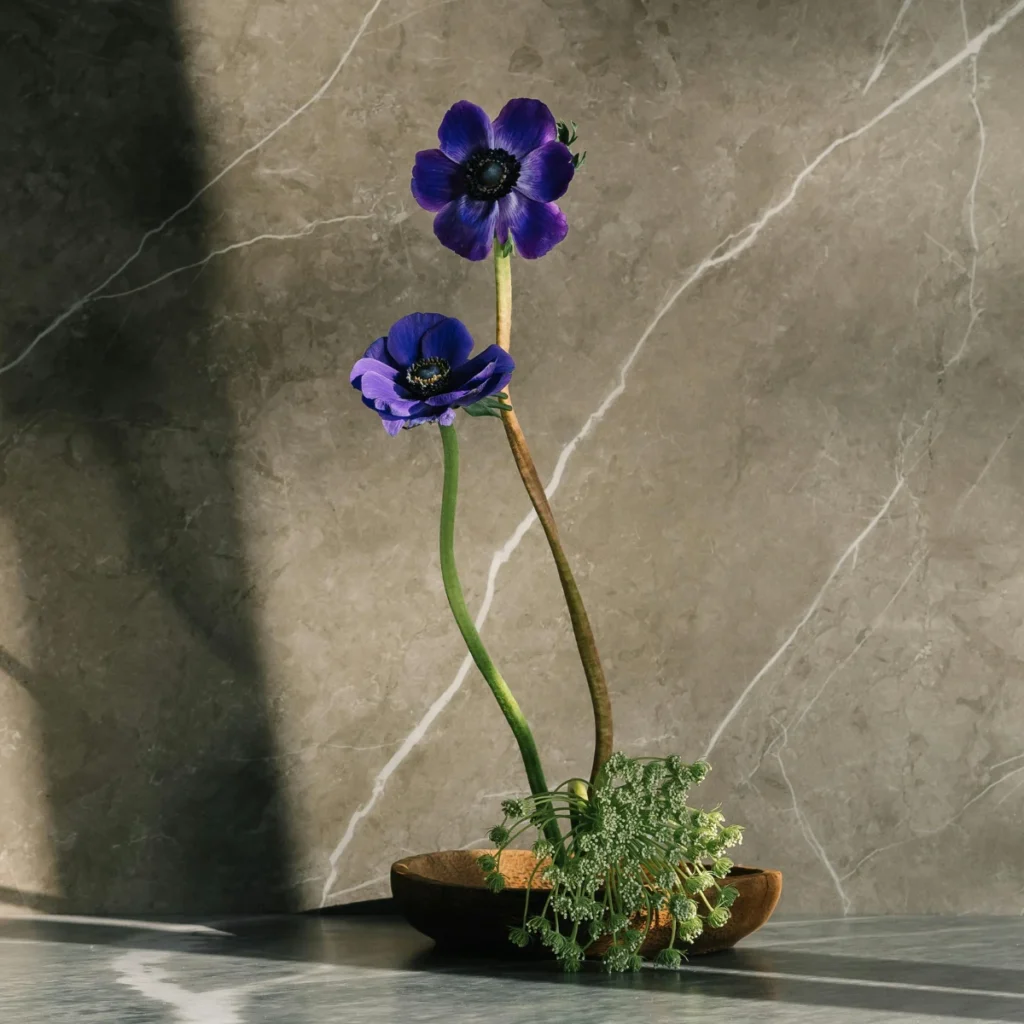 ikebana sokka