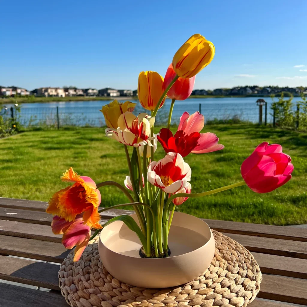 Tulpen am See